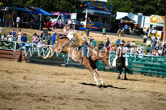 CoomaRodeo2017_2119