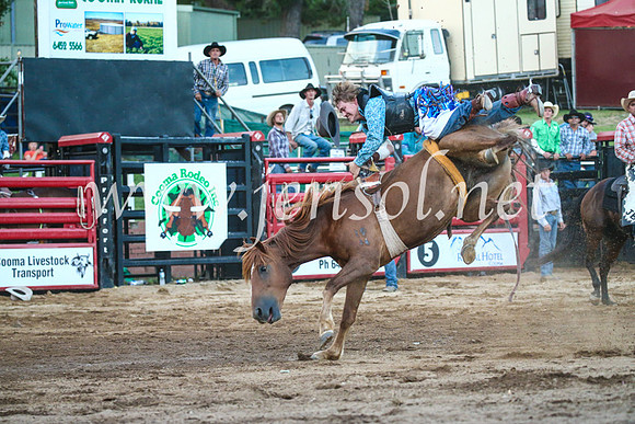 CoomaRodeo2017_3779
