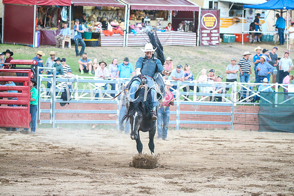CoomaRodeo2017_3691