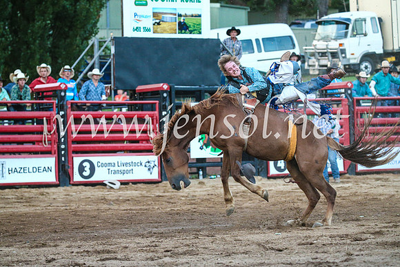 CoomaRodeo2017_3782