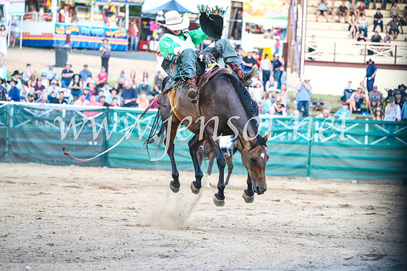 CoomaRodeo2017_3560