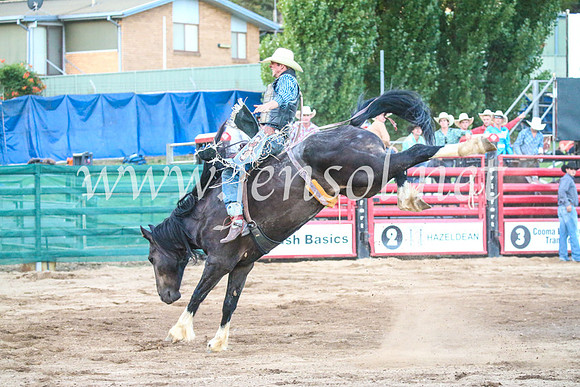 CoomaRodeo2017_3729