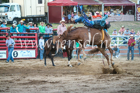CoomaRodeo2017_3771