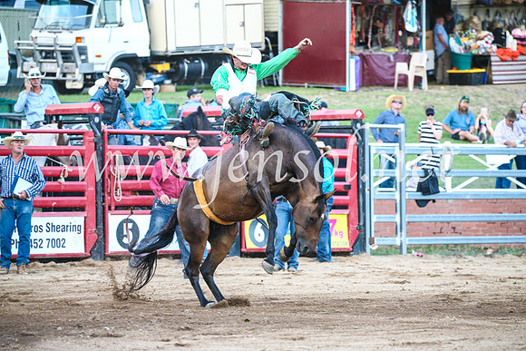 CoomaRodeo2017_3534