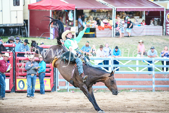 CoomaRodeo2017_3536