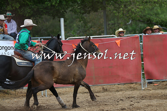 BattleFinals_5610