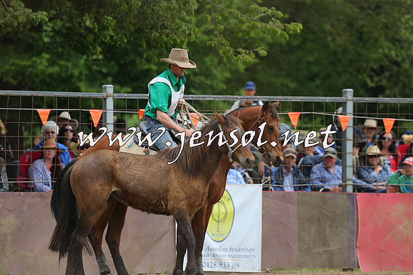 BattleFinals_5517