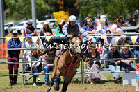 JindabyneRodeo2015_0074