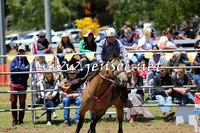 JindabyneRodeo2015_0076