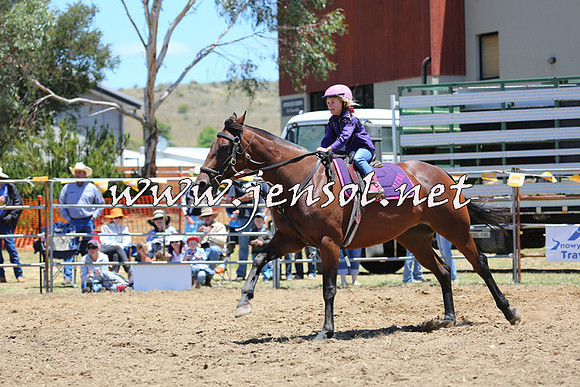 JindabyneRodeo2015_0583