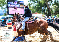 TumutRodeo2019_0230