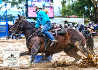 TumutRodeo2019_0252