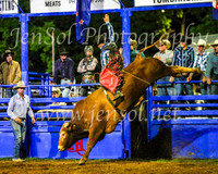 TumbarumbaRodeo2024_4716