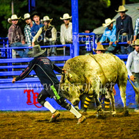 TumbarumbaRodeo2024_4880