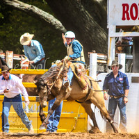 TaralgaRodeo2014_0815