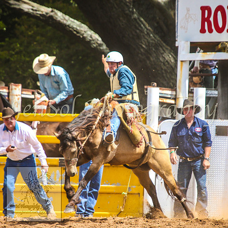 TaralgaRodeo2014_0815