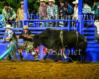 TumbarumbaRodeo2024_4896