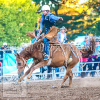 TaralgaRodeo2014_2034