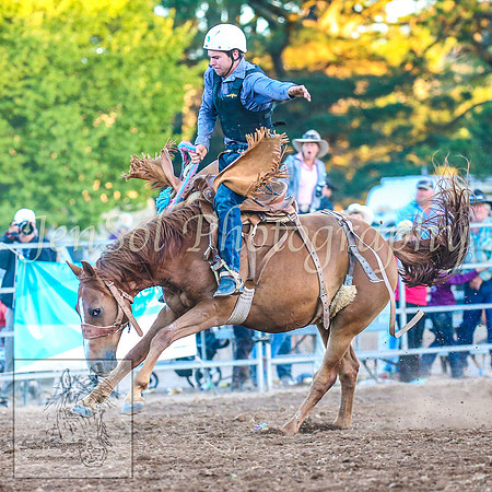 TaralgaRodeo2014_2034