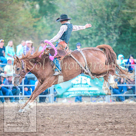 TaralgaRodeo2014_2044
