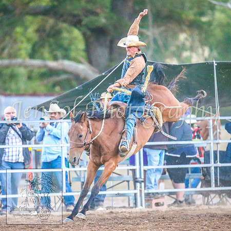 TaralgaRodeo2014_2138