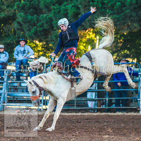 TaralgaRodeo2014_KJS_4985