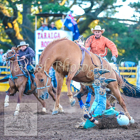 TaralgaRodeo2014_1878