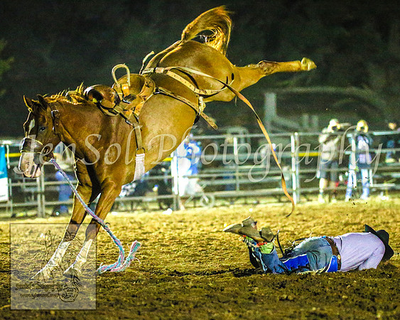 TaralgaRodeo2014_2530