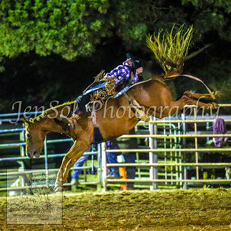 TaralgaRodeo2014_2393