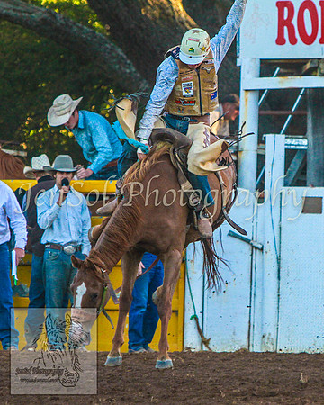 TaralgaRodeo2014_KJS_4977