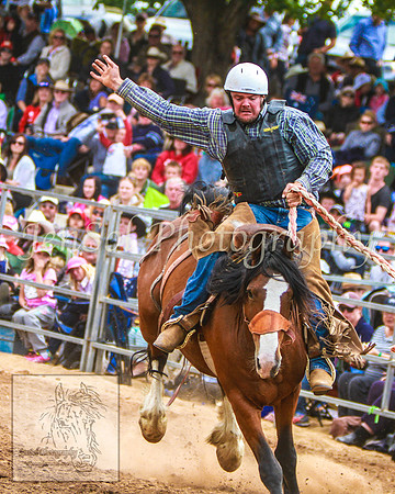 TaralgaRodeo2014_KJS_4412