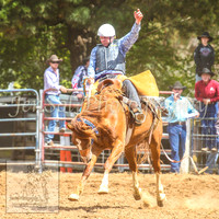 TaralgaRodeo2014_0851