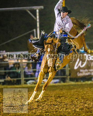 TaralgaRodeo2014_2516