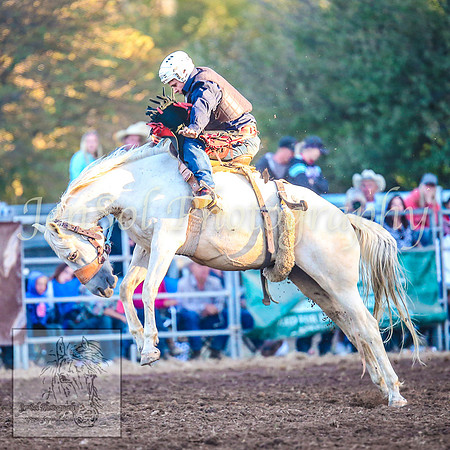 TaralgaRodeo2014_1805