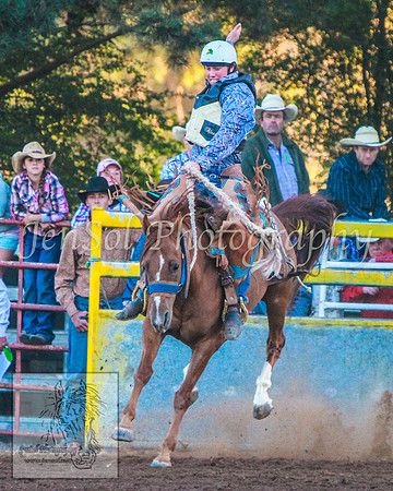 TaralgaRodeo2014_KJS_4967