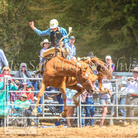 TaralgaRodeo2014_0873
