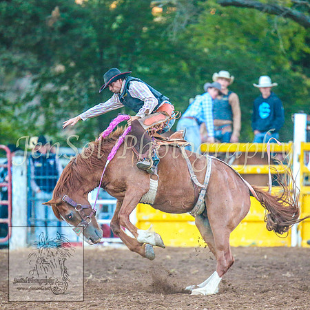 TaralgaRodeo2014_2051