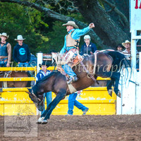 TaralgaRodeo2014_2086