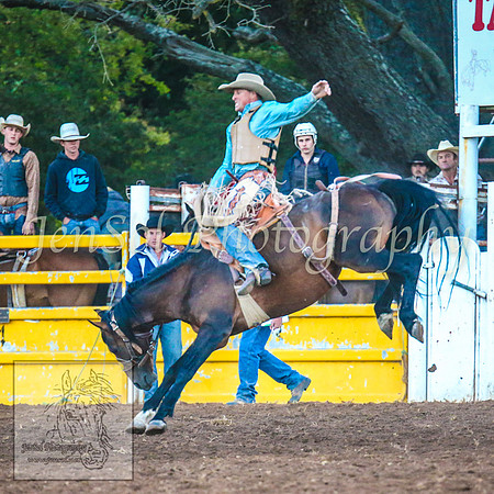 TaralgaRodeo2014_2086