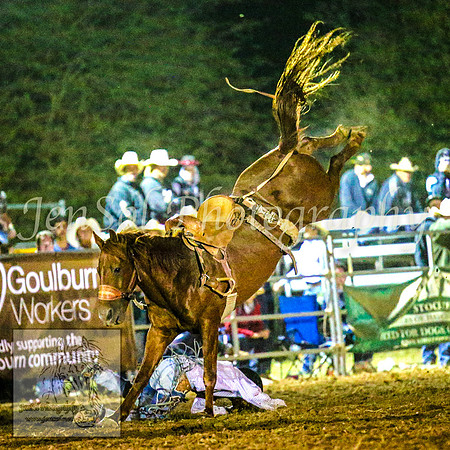 TaralgaRodeo2014_2461