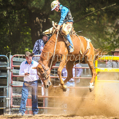 TaralgaRodeo2014_0863