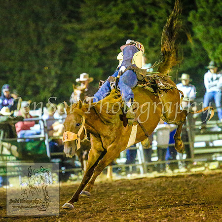 TaralgaRodeo2014_2432