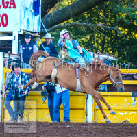 TaralgaRodeo2014_1854
