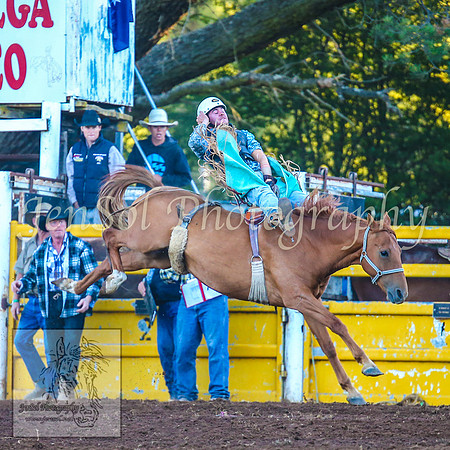 TaralgaRodeo2014_1854