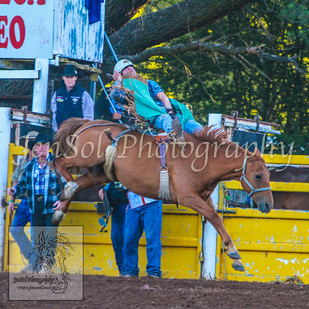TaralgaRodeo2014_KJS_5002