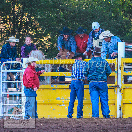 TaralgaRodeo2014_KJS_4965