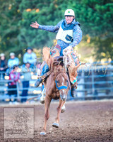 TaralgaRodeo2014_1780