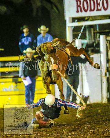 TaralgaRodeo2014_2496