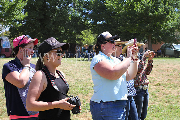 Tumut7DSun_8371