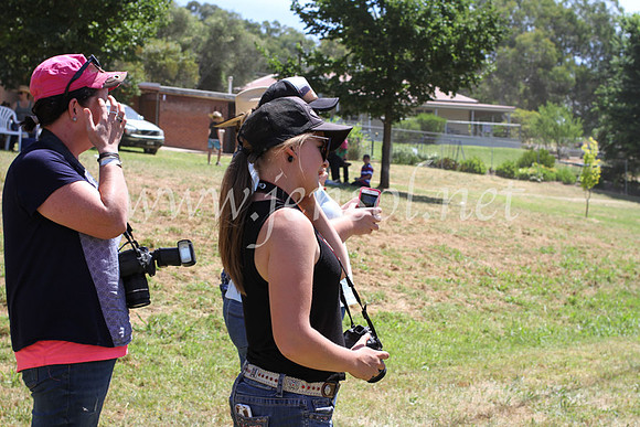 Tumut7DSun_8370